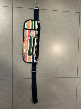 LeSportsac Striped Multi-Color Waist Bag